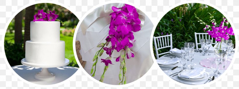 Cut Flowers Floristry Wedding, PNG, 915x343px, Cut Flowers, Floristry, Flower, Plant, Purple Download Free