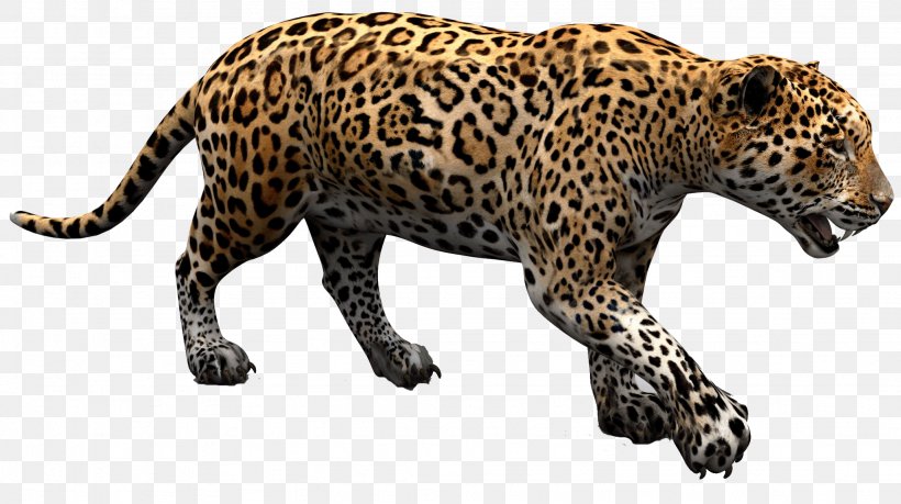 Jaguar D-Type Jaguar Cars Jaguar Land Rover, PNG, 2048x1148px, 3d Modeling, Jaguar, Big Cats, Carnivoran, Cat Like Mammal Download Free