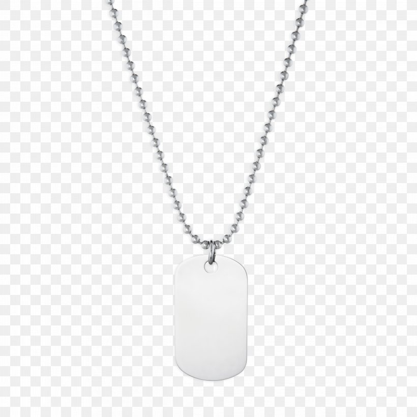 Jewellery Necklace Charms & Pendants Silver Clothing Accessories, PNG, 4652x4652px, Jewellery, Bijou, Bracelet, Chain, Charms Pendants Download Free