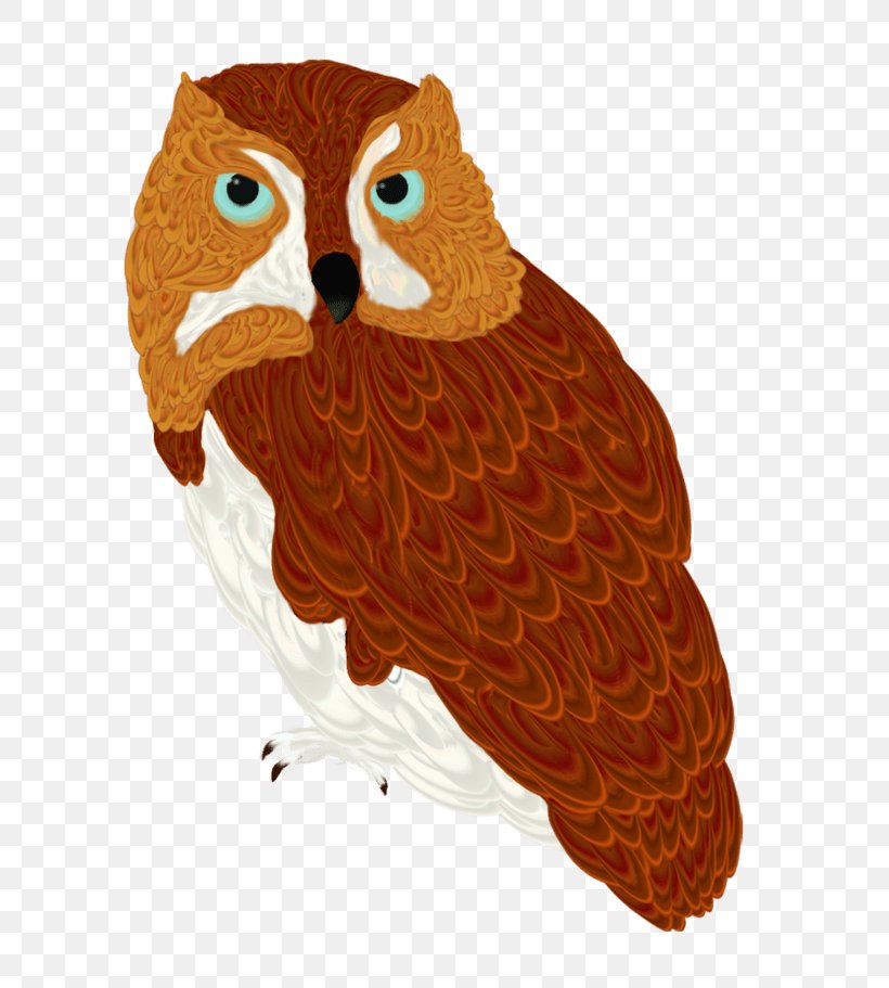 Owl Beak Orange S.A., PNG, 730x911px, Owl, Beak, Bird, Bird Of Prey, Orange Sa Download Free