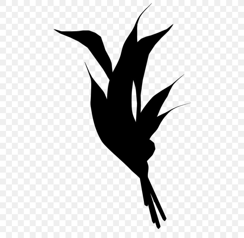 Beak Clip Art Illustration Character Silhouette, PNG, 520x800px, Beak, Bird, Black M, Blackandwhite, Character Download Free