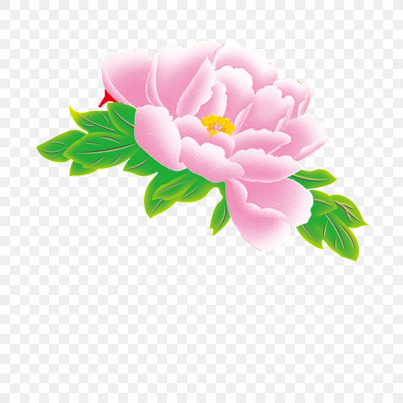 Peony Image Flower Drawing, PNG, 1024x1024px, Peony, Cut Flowers, Drawing, Floral Design, Flower Download Free