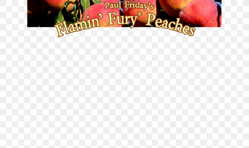 Brand Fruit Font, PNG, 1050x625px, Brand, Advertising, Fruit, Text Download Free