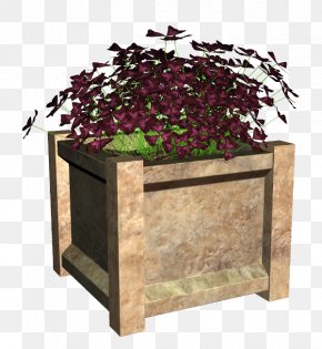 Plants - Flowerpot Houseplant Clip Art Garden Plants PNG