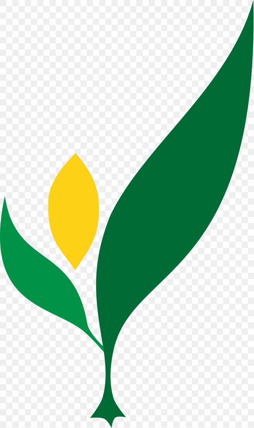Philippines Bureau Of Plant Industry Department Of Agriculture, PNG, 1200x2021px, Philippines, Agriculture, Botany, Bureau Of Plant Industry, Certification Download Free