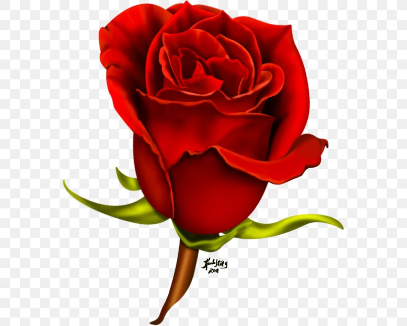 Rose Flower Clip Art, PNG, 569x657px, Rose, Airbrush, Art, China Rose, Close Up Download Free
