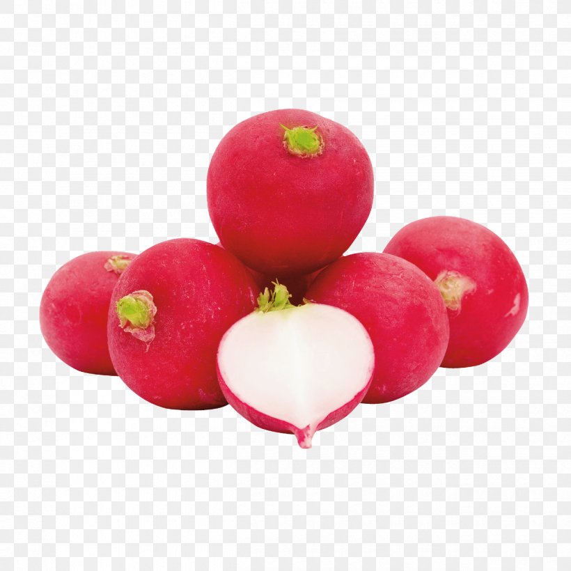 Stock Photography Daikon Shutterstock Illustration Royalty-free, PNG, 1250x1250px, Stock Photography, Berry, Cranberry, Daikon, Food Download Free