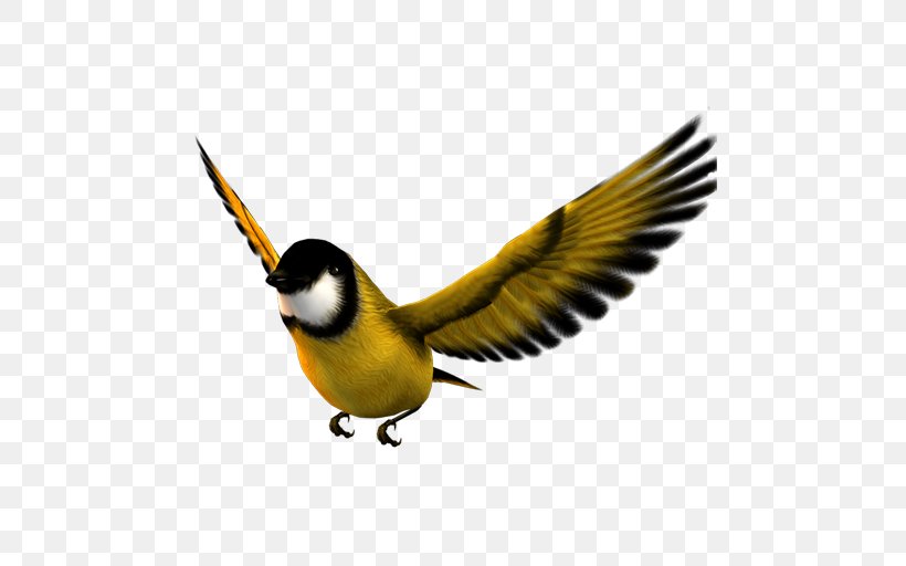 Bird Flight Atlantic Canary Icon, PNG, 512x512px, Bird, Atlantic Canary, Beak, Bird Flight, Fauna Download Free