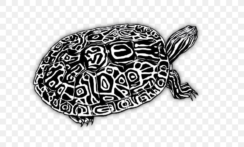 Box Turtles Tortoise Reptile Painted Turtle, PNG, 694x496px, Box Turtles, Black And White, Box Turtle, Drawing, Eastern Box Turtle Download Free