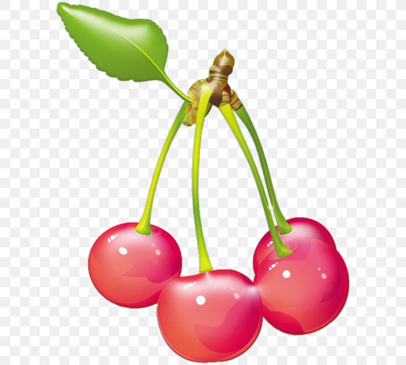 Cherry Adobe Illustrator Illustration, PNG, 600x738px, Cherry, Berry, Flowering Plant, Food, Fruit Download Free