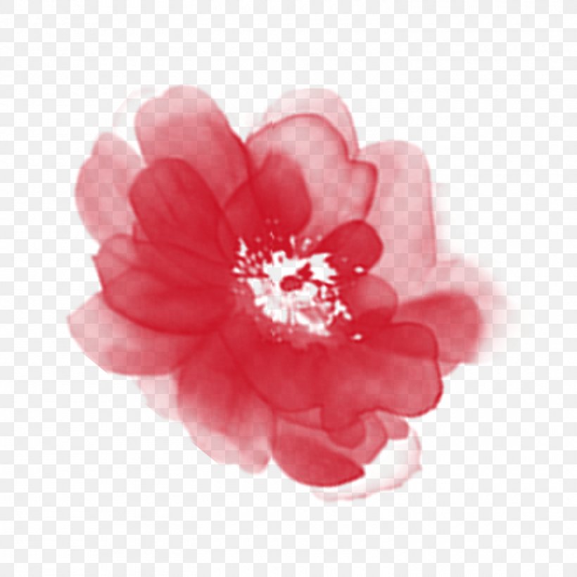 Elements, Hong Kong Clip Art, PNG, 1500x1500px, Elements Hong Kong, Blossom, Camellia, Flower, Flowering Plant Download Free