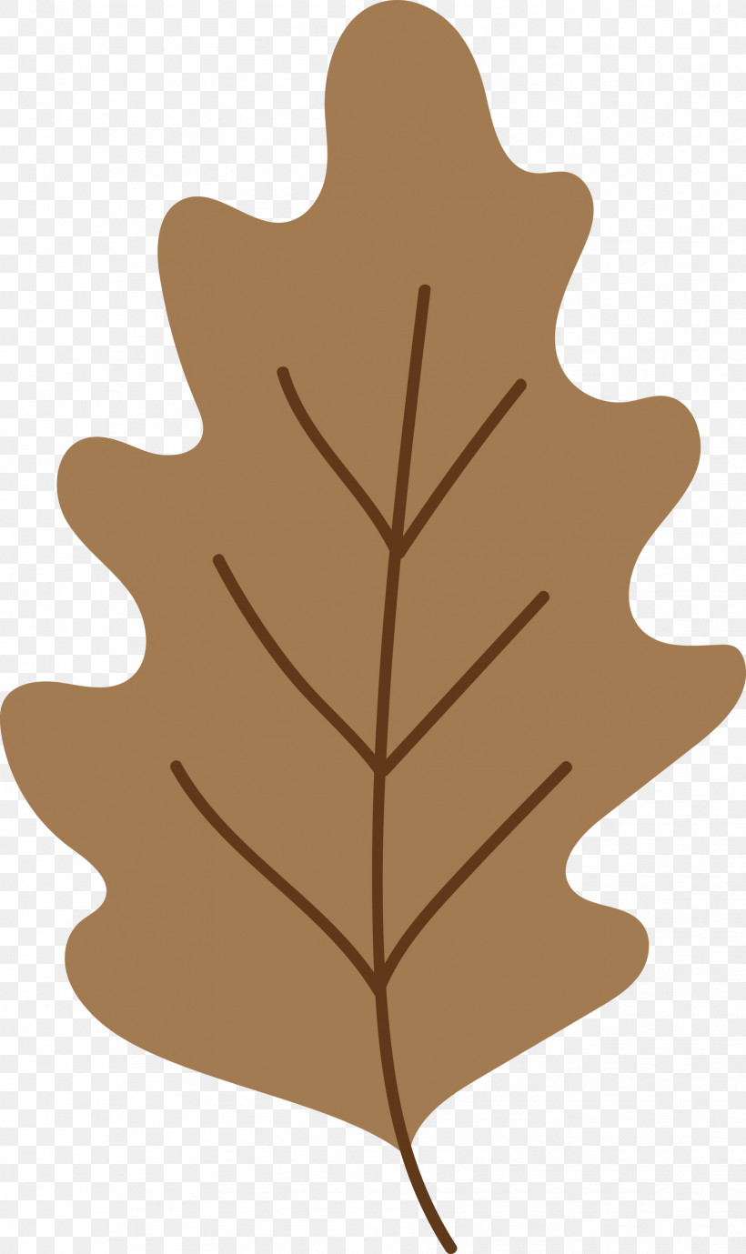Leaf M-tree Line H&m Meter, PNG, 1783x3000px, Leaf, Flower, Hm, Line, Meter Download Free