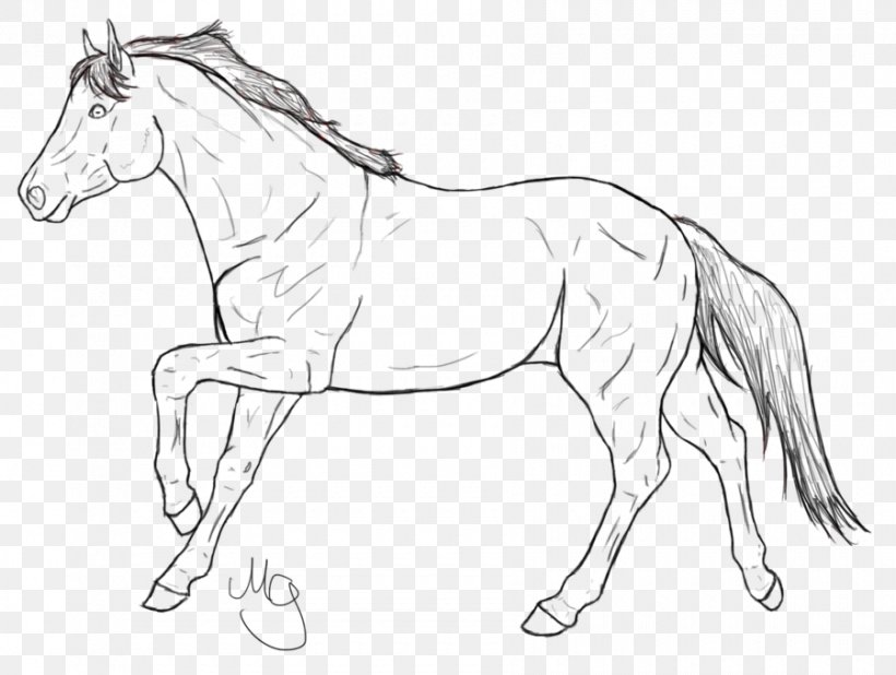 Line Art Mane Mustang Pony Stallion, PNG, 900x679px, Line Art, Animal Figure, Artwork, Black And White, Bridle Download Free