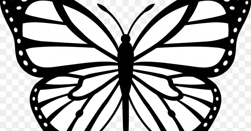 Monarch Butterfly Drawing, PNG, 1200x630px, Butterfly, Blackandwhite, Coloring Book, Drawing, Glasswing Butterfly Download Free