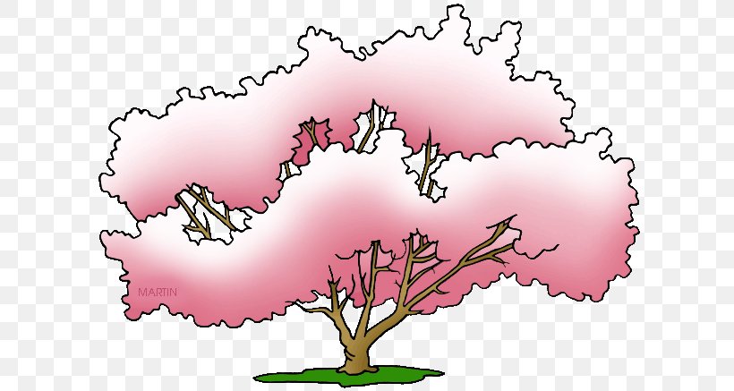 Pink M Flowering Plant RTV Pink Clip Art, PNG, 648x437px, Pink M, Branch, Branching, Flower, Flowering Plant Download Free