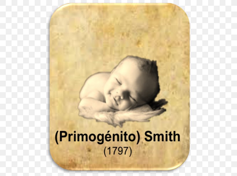 Sleeping Beauties: Newborns In Dreamland Snout Infant Riba Smith Costa Del Este Font, PNG, 514x611px, Snout, Infant Download Free