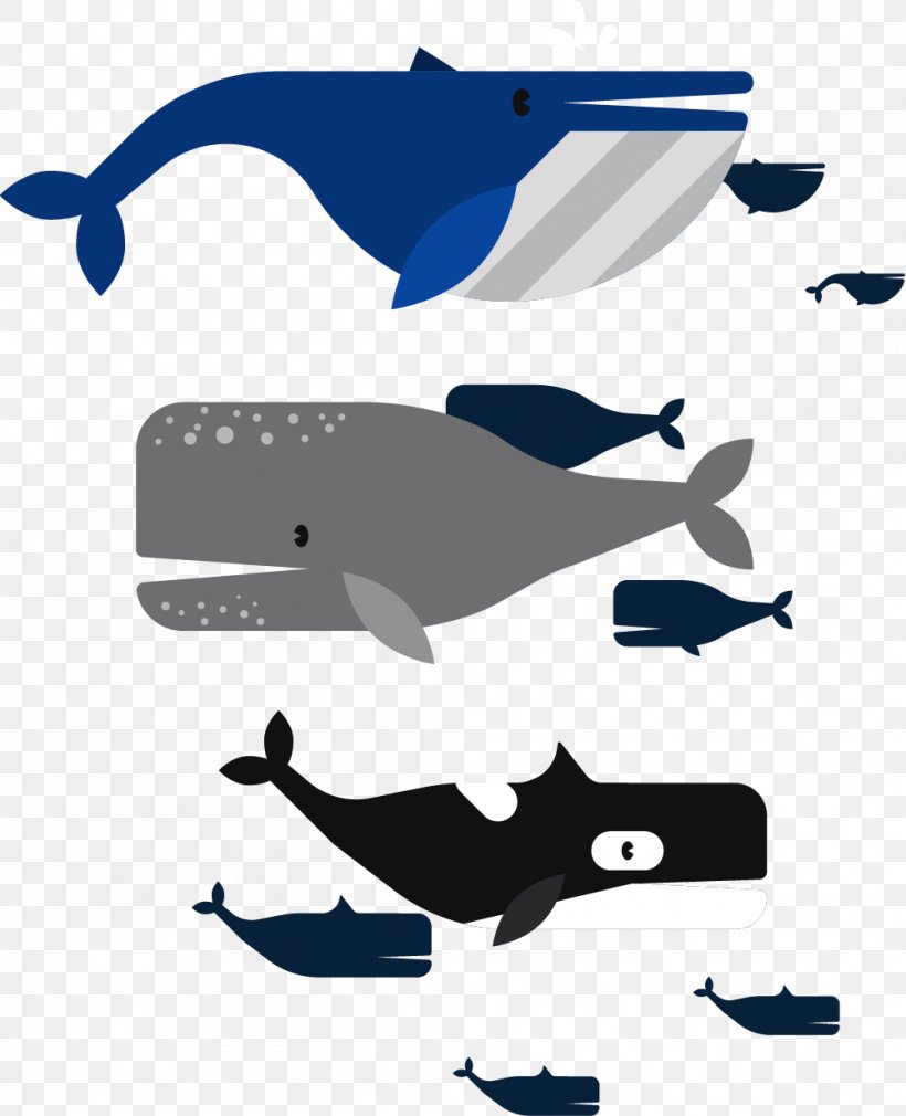 Moby-Dick Beluga Whale Euclidean Vector, PNG, 1001x1233px, Mobydick, Baleen Whale, Beluga Whale, Blue Whale, Dolphin Download Free