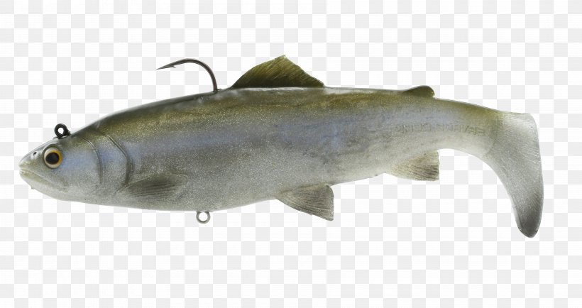 Plug Sardine Swimbait Fishing Baits & Lures Rainbow Trout, PNG, 3600x1908px, Plug, Bait, Bass Fishing, Bony Fish, Brown Trout Download Free