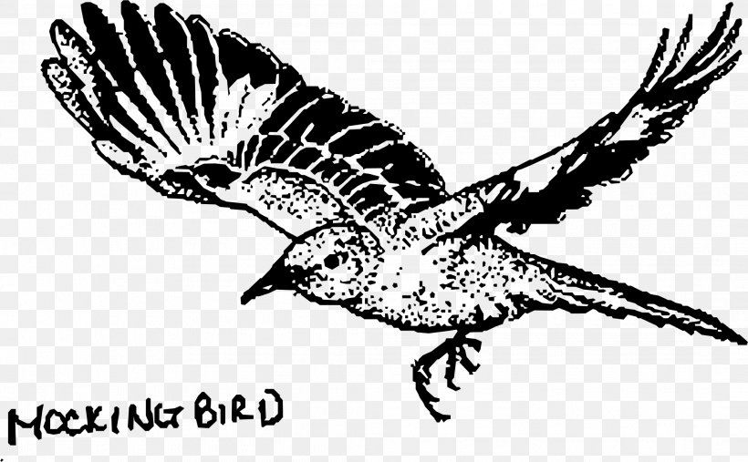 To Kill A Mockingbird Drawing Line Art Clip Art, PNG, 2085x1290px, To Kill A Mockingbird, Beak, Bird, Bird Of Prey, Black And White Download Free