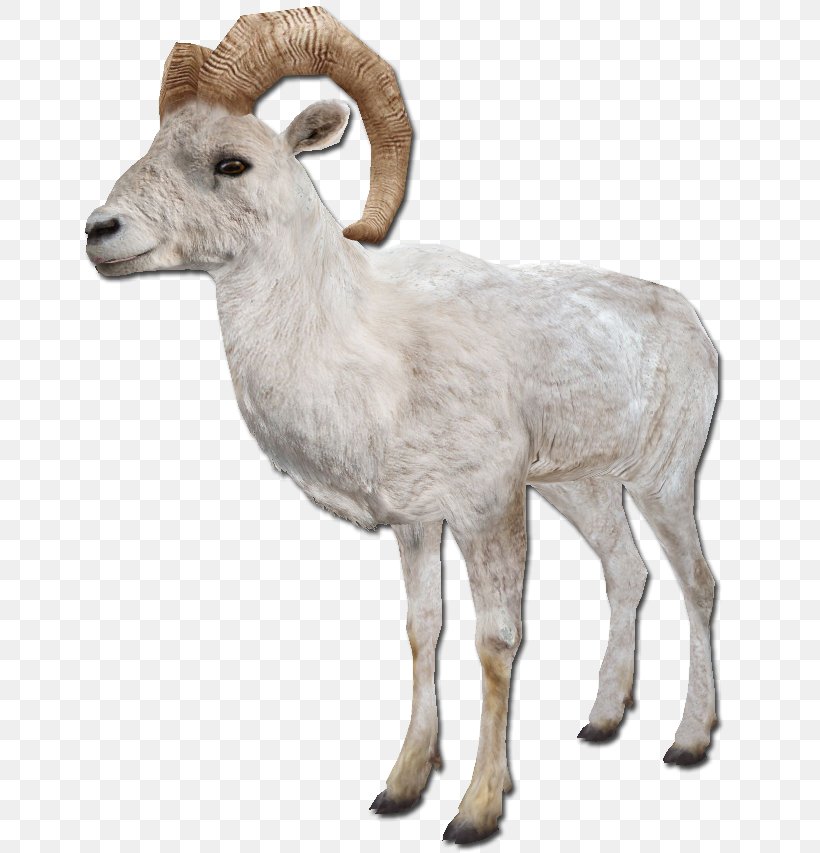 Barbary Sheep Argali Goat Farm Animals: Sheep, PNG, 660x853px, Sheep, Argali, Barbary Sheep, Bighorn, Bighorn Sheep Download Free
