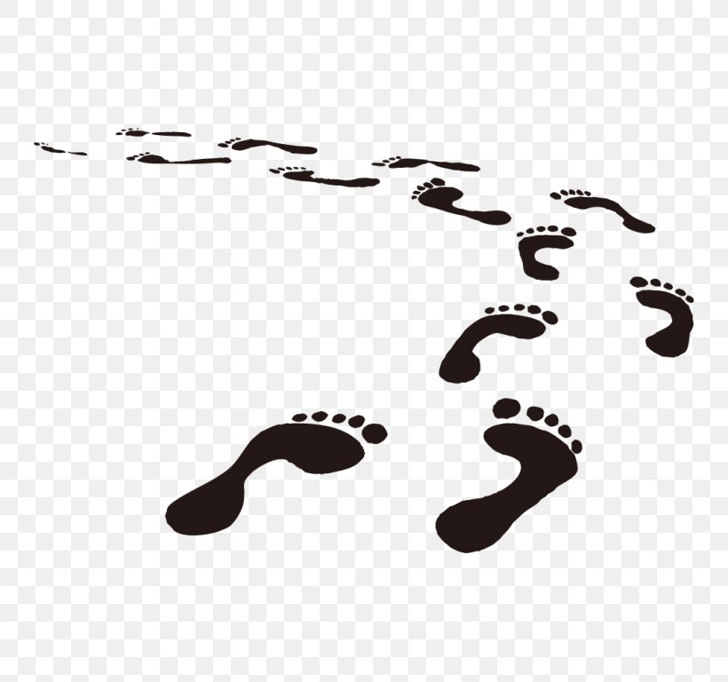 Clip Art Footprint Vector Graphics Image Download, PNG, 768x768px, Footprint, Animal Track, Black And White, Foot, Shoe Download Free