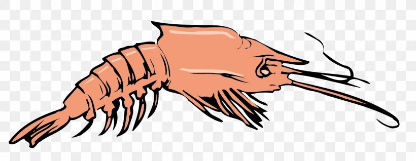 Crab Homarus Euclidean Vector Clip Art, PNG, 1417x550px, Crab, Artwork, Carnivoran, Claw, Decapoda Download Free