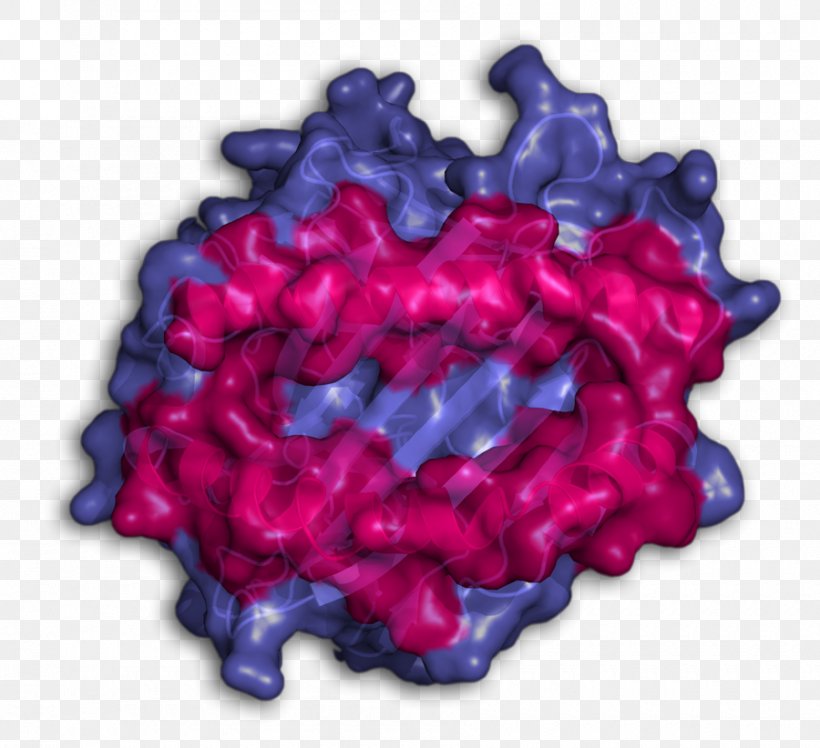 Human Leukocyte Antigen HLA-A*02 International Year Of Crystallography Infection, PNG, 900x822px, Human Leukocyte Antigen, Antigen, Cell, Crystal, Human Body Download Free