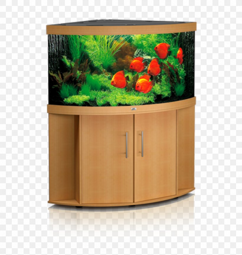 Aquarium Filters Tropical Fish Pet, PNG, 950x1000px, Aquarium, Aquarium Filters, Cichlid, Fish, Heater Download Free