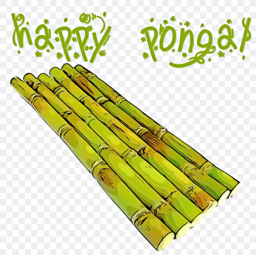 Asparagus Bamboo Plant Bamboo Shoot Vegetable, PNG, 1600x1600px, Asparagus, Bamboo, Bamboo Shoot, Plant, Plant Stem Download Free