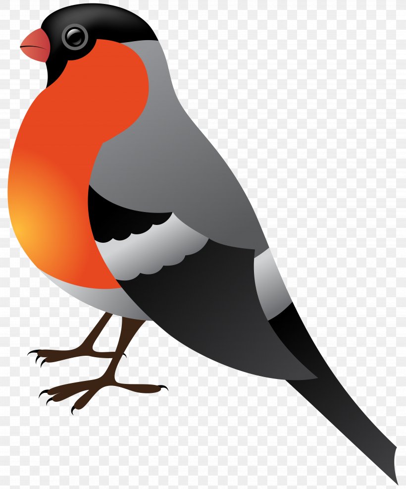 Bird Winter Clip Art, PNG, 6640x8000px, Bird, Beak, Drawing, Flock, Free Content Download Free