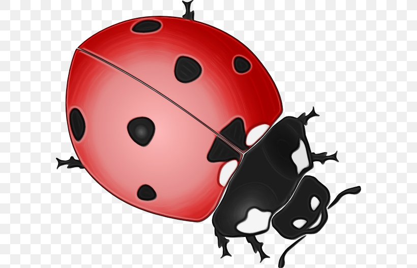 Ladybug, PNG, 600x527px, Watercolor, Beetle, Helmet, Insect, Ladybug Download Free