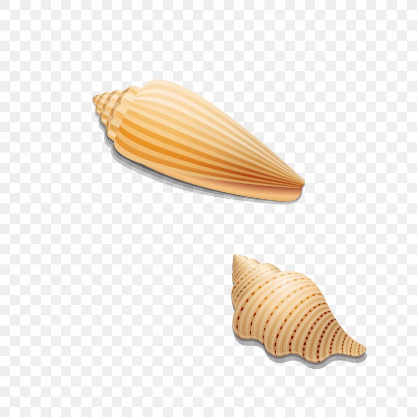 Seashell Ice Cream Cone Clip Art, PNG, 1458x1458px, Seashell, Beach, Bubble, Cockle, Conchology Download Free