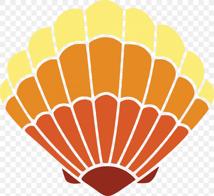 Seashell, PNG, 4000x3661px, Autocad Dxf, Commodity, Computer Software, Coreldraw, Cricut Download Free