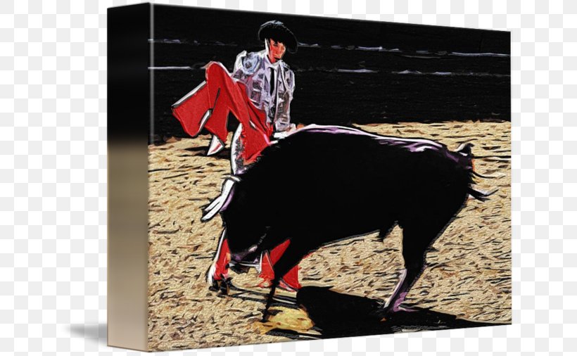 Bullfighting Ox Bullfighter Jeffrey Horn, PNG, 650x506px, Bullfighting, Animal Sports, Bull, Bullfighter, Cattle Like Mammal Download Free