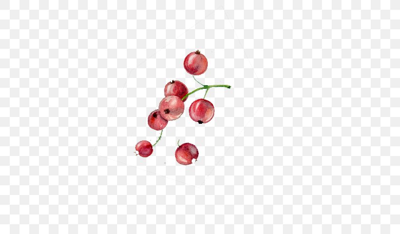 Cherry Fruit Euclidean Vector Vecteur, PNG, 673x480px, Cherry, Chart, Cherry Blossom, Data, Fruchtsaft Download Free