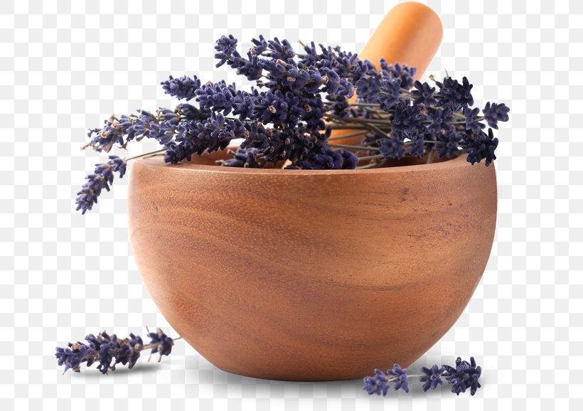 Essential Oil Lavender Oil Herb Apothecary, PNG, 670x578px, Oil, Apothecary, Bigcommerce, Ceramic, Chemical Substance Download Free