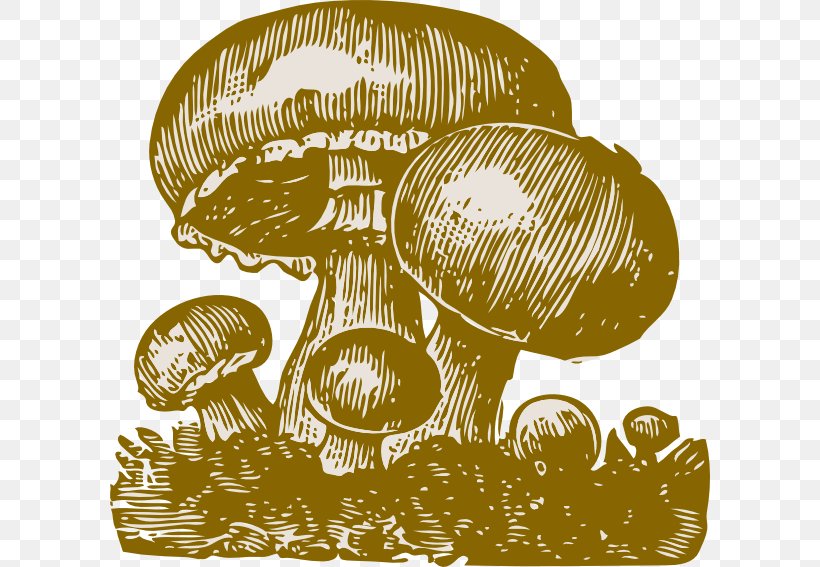 Fungus Mushroom Clip Art, PNG, 600x567px, Fungus, Art, Drawing, Mushroom, Organism Download Free