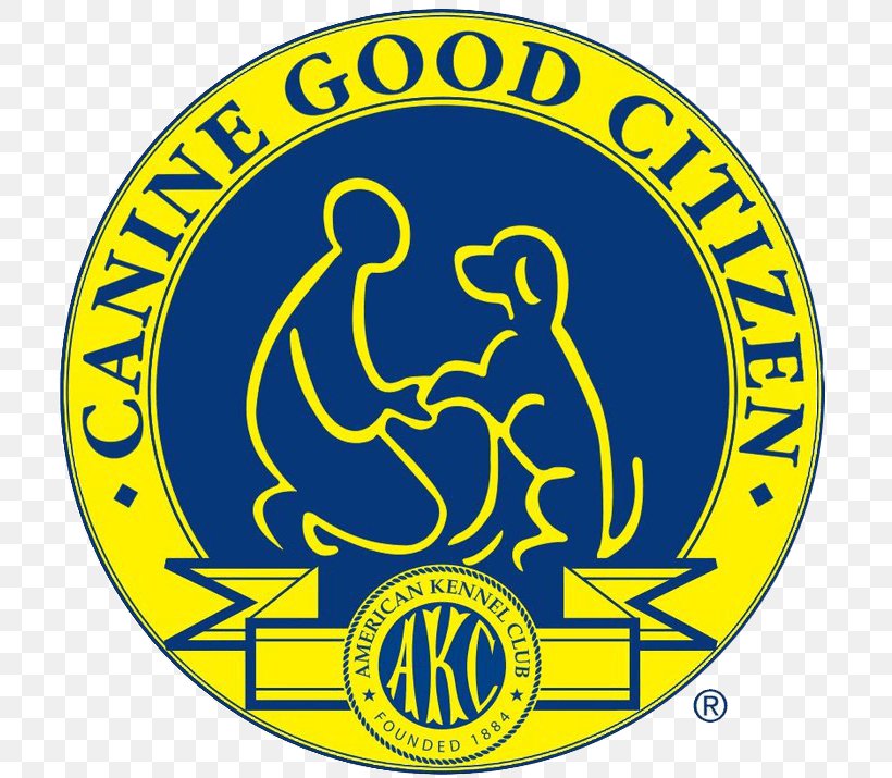 Golden Retriever Puppy Canine Good Citizen American Kennel Club Obedience Training, PNG, 720x715px, Golden Retriever, American Kennel Club, Area, Badge, Brand Download Free