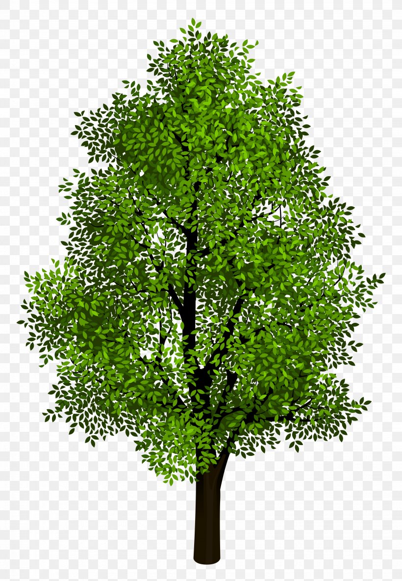 Tree Isometric Projection Clip Art, PNG, 3677x5312px, Tree, Branch, Evergreen, Grass, Isometric Projection Download Free