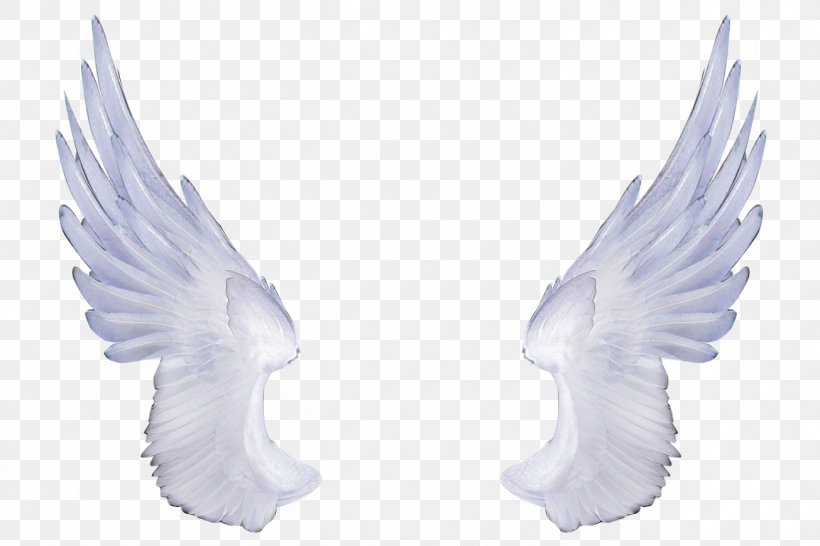 Clip Art, PNG, 1305x870px, Photography, Angel, Animation, Beak, Bird Download Free