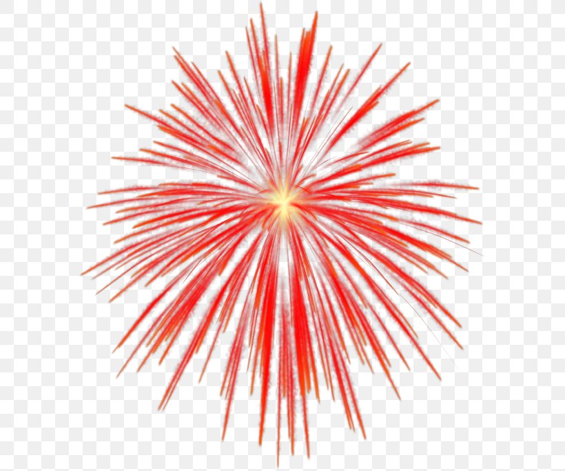 Fireworks Clip Art, PNG, 592x683px, Fireworks, Event, Explosive Material, Sky, Symmetry Download Free