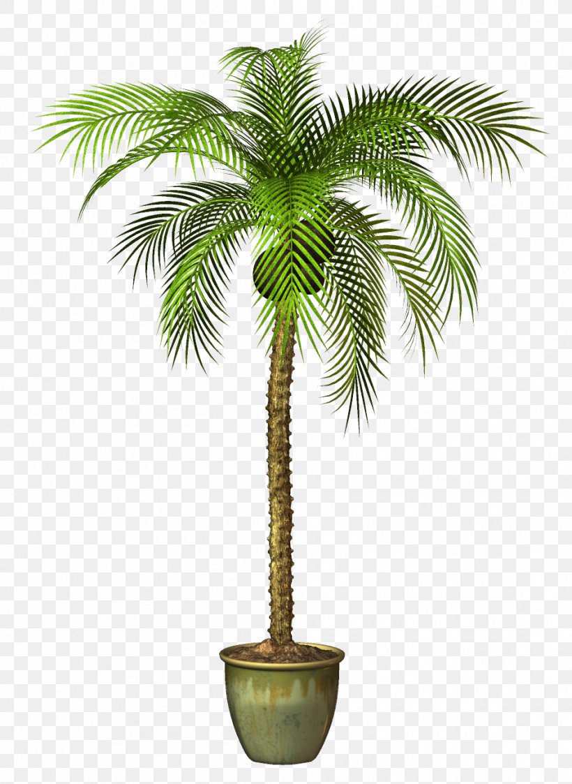 Flowerpot Tree Plant, PNG, 948x1299px, Flowerpot, Arecaceae, Arecales, Asian Palmyra Palm, Bonsai Download Free