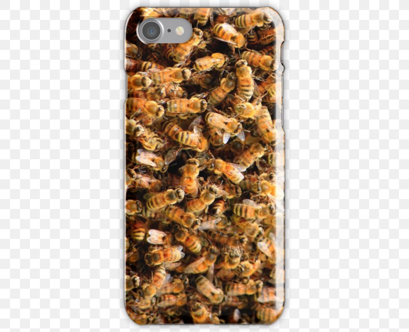 Honey Bee Beehive Honeycomb, PNG, 500x667px, Honey Bee, Bee, Beehive, Honey, Honeycomb Download Free