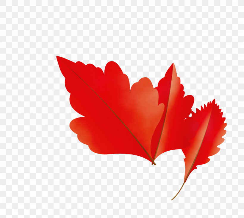 Maple Leaf, PNG, 2999x2676px, Autumn Leaf, Career Portfolio, Cartoon Leaf, Fall Leaf, Leaf Download Free