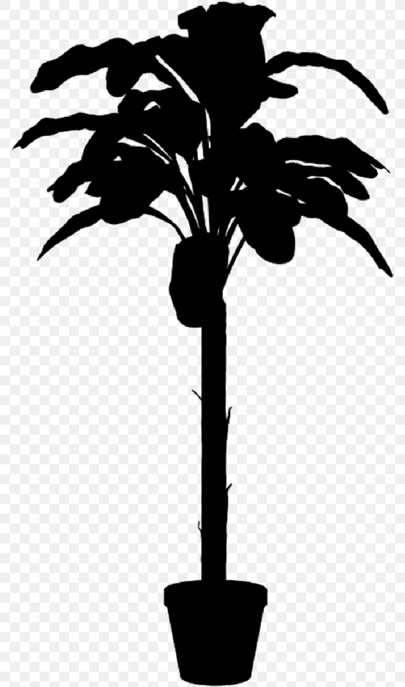 Palm Trees Plant Stem Flower Leaf Silhouette, PNG, 776x1391px, Palm Trees, Arecales, Blackandwhite, Botany, Branching Download Free