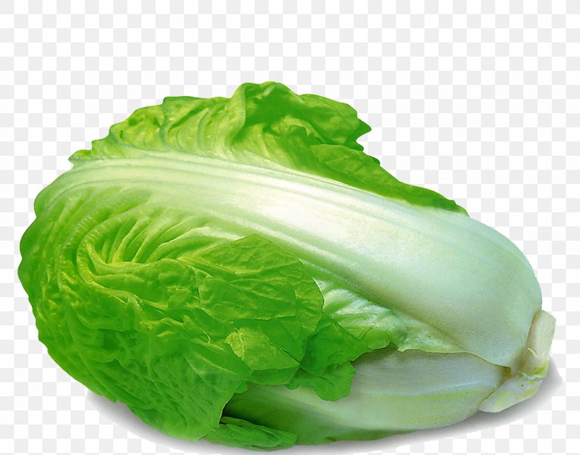 Romaine lettuce in chinese