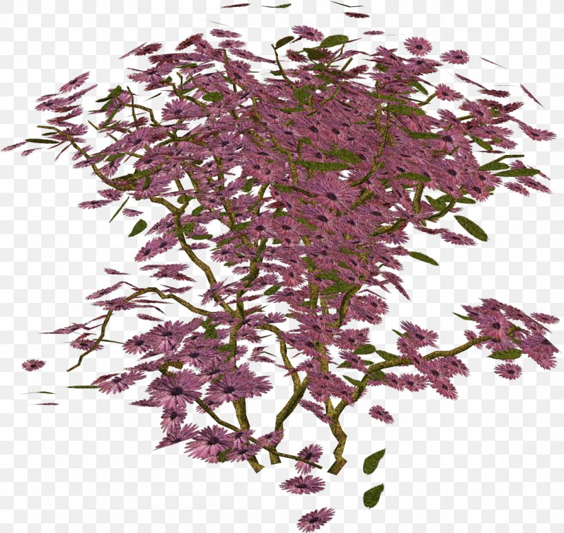 Twig Shrub Herb, PNG, 1151x1087px, Twig, Branch, Herb, Plant, Purple Download Free