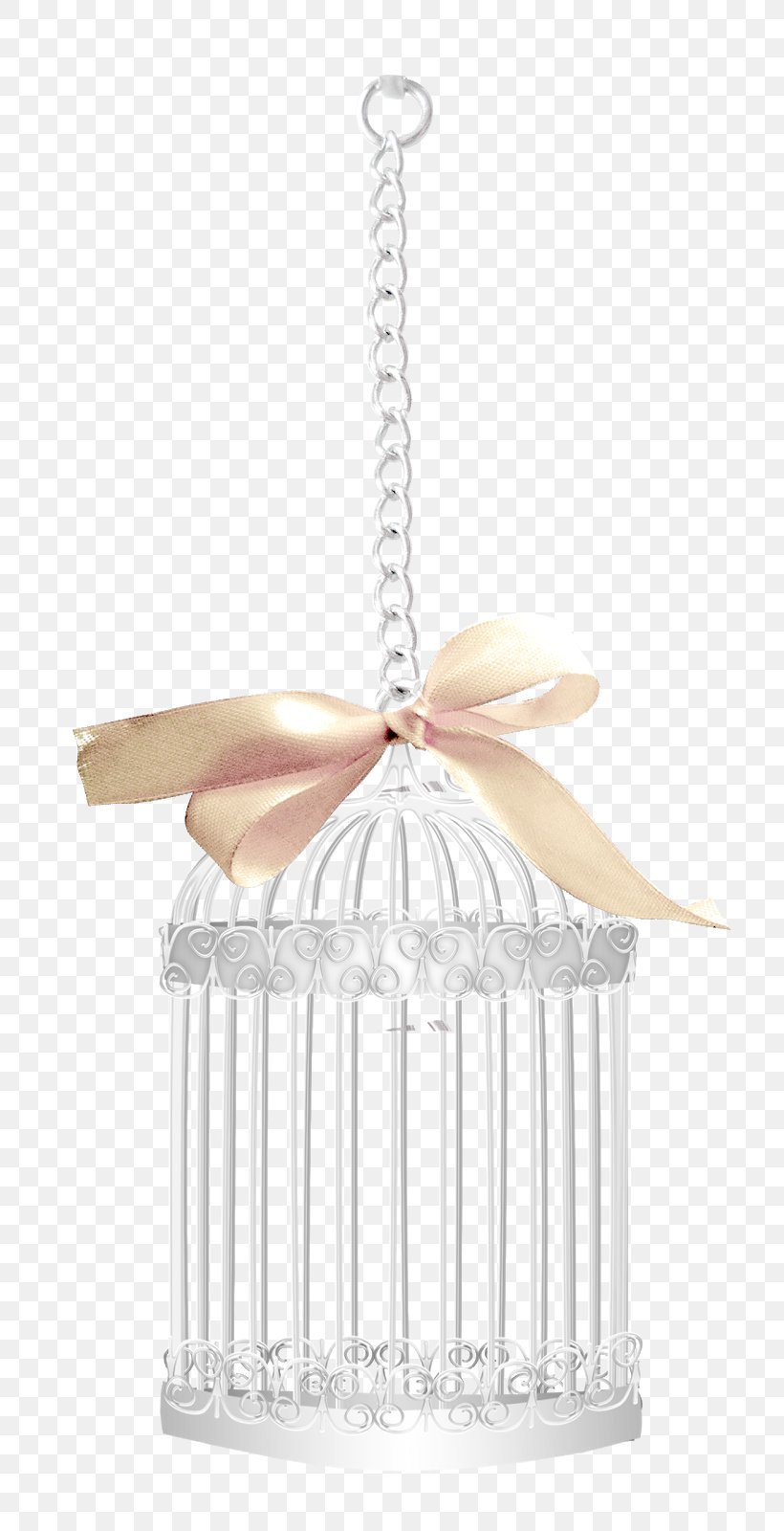 Birdcage Metal, PNG, 766x1600px, Cage, Bird, Birdcage, Ceiling, Ceiling Fixture Download Free