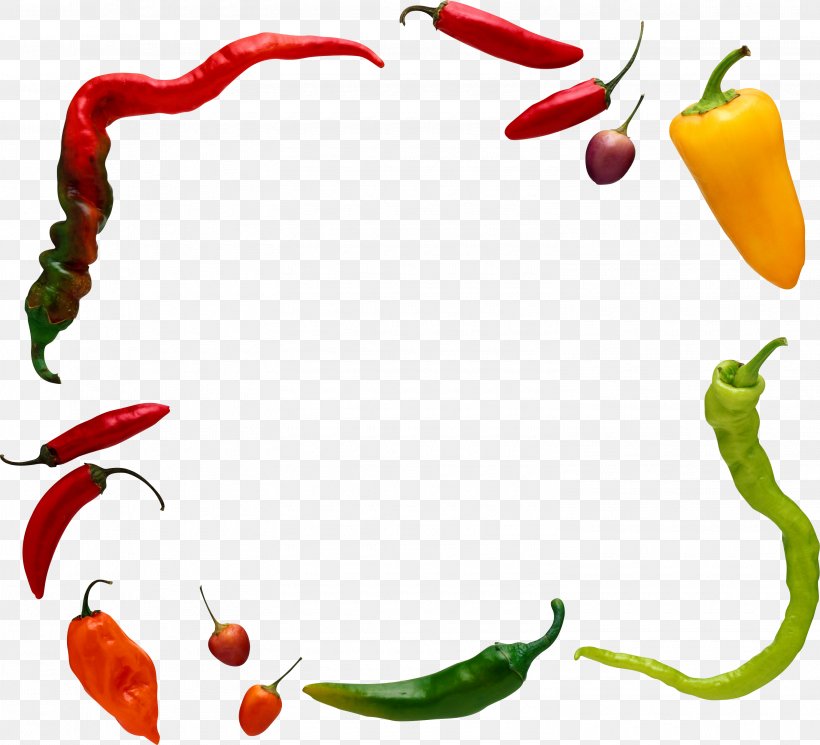 Chili Pepper Black Pepper Vegetable Facing Heaven Pepper, PNG, 3010x2738px, Chili Pepper, Artwork, Bell Peppers And Chili Peppers, Bird S Eye Chili, Black Pepper Download Free