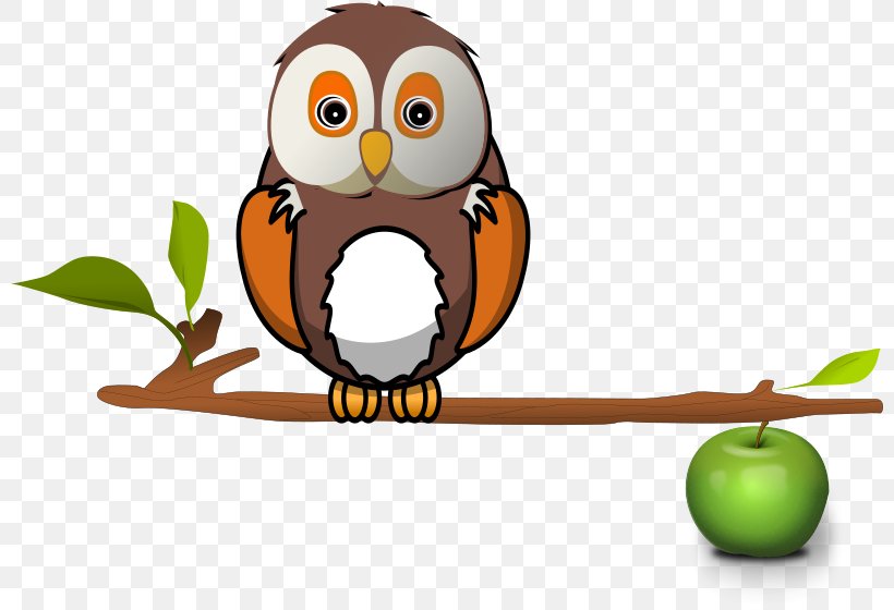 Owl Bird Branch Clip Art, PNG, 800x560px, Owl, Beak, Bird, Bird Of Prey, Branch Download Free